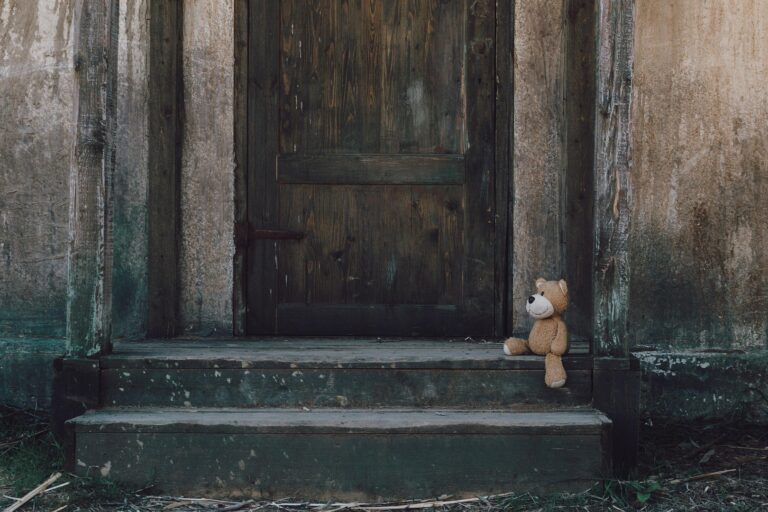 Teddy vor einer Tür