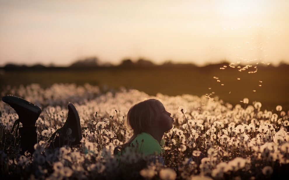 Ferien- und Urlaubsreisen 2025